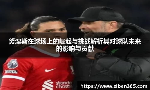 努涅斯在球场上的崛起与挑战解析其对球队未来的影响与贡献